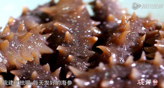 海參進(jìn)補(bǔ)從娃娃抓起，兒童吃海參的好處！