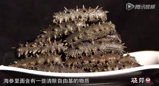 孝敬父母，為何首選海參？